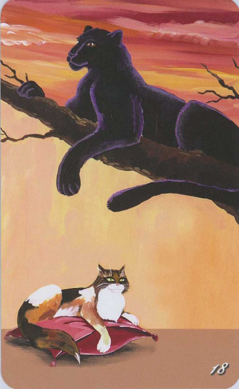 Random image